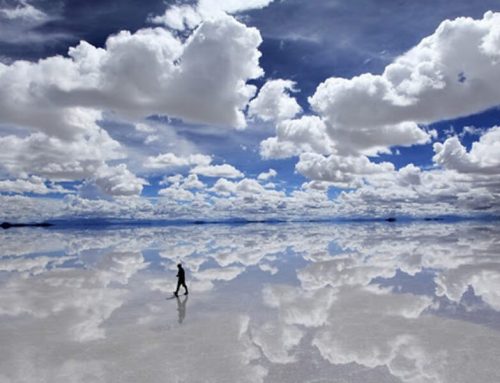 The Eyes of the Blind Will Be Opened