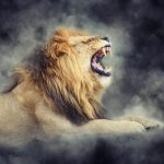 The Lion Has Roared!