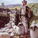 I will care for my sheep like a shepherd