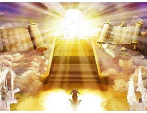 I will show concern for my holy name