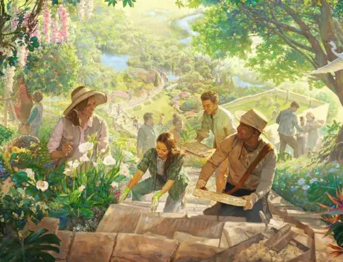 Questions about the paradise new world to come